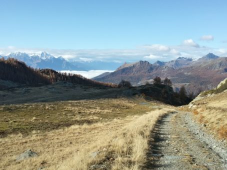 CHAMOIS - LA MAGDELEINE
