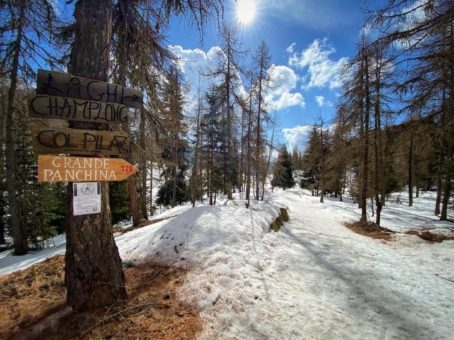 INDICAZIONI PER LA BIG BENCH