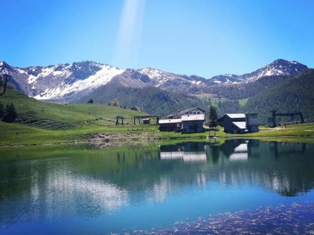 FIORI E LAGO